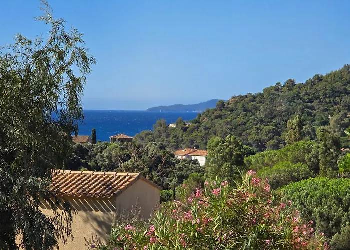 Le Mazet De Sophia *